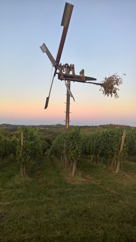 živa dediščina 05